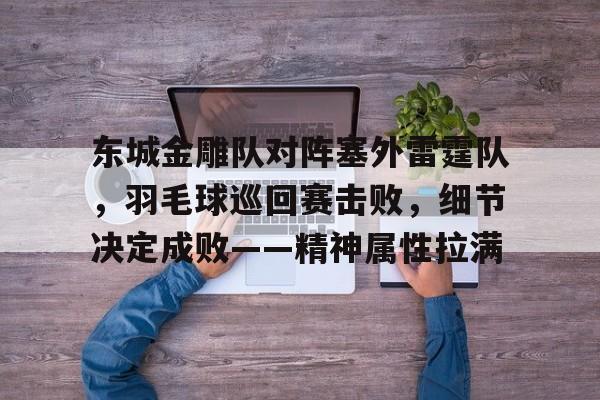 东城金雕队对阵塞外雷霆队，羽毛球巡回赛击败，细节决定成败——精神属性拉满